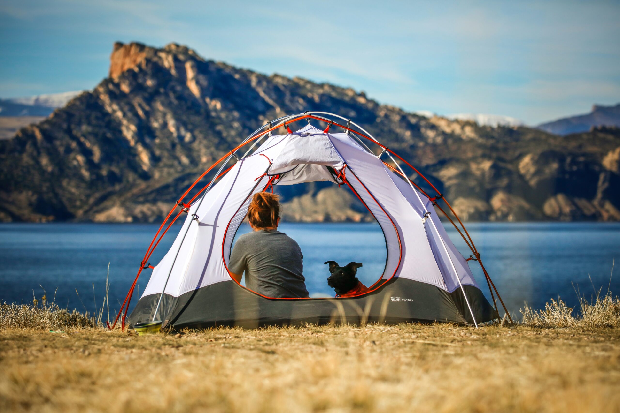 A view from behind a person and their small black dog sitting inside a white and grey tent. They are looking out over a calm blue lake toward a massive, rugged mountain range under a clear sky.