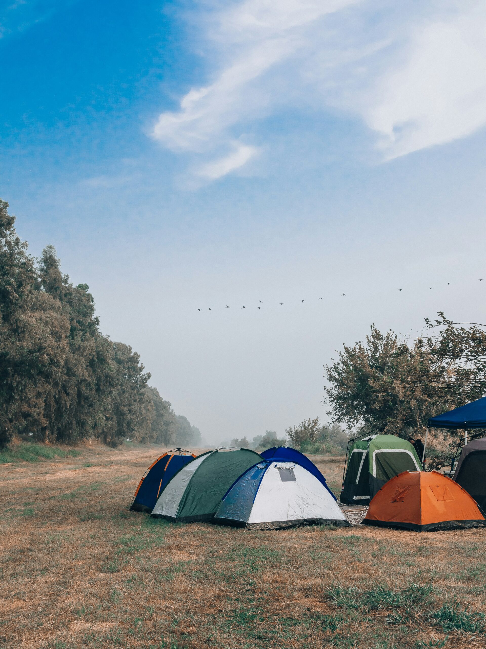 A row of colorful dome tents in blue, green, and orange pitched on a grassy field. A line of birds flies across a hazy blue sky above a distant treeline.